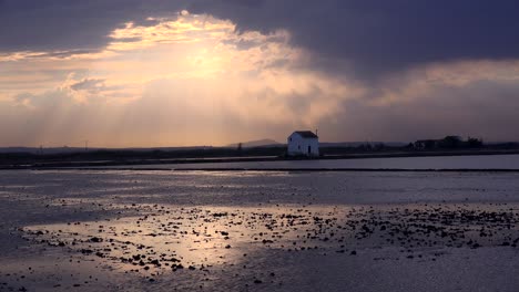 Schönes-Licht-Reflektiert-Von-Reisfeldern-Und-Reisfeldern-In-Der-Nähe-Von-Albufera-Spanien-3