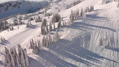 Aerial-view-of-a-snowmobile-driving-through-pines-down-a-snowed-hill-in-Canada