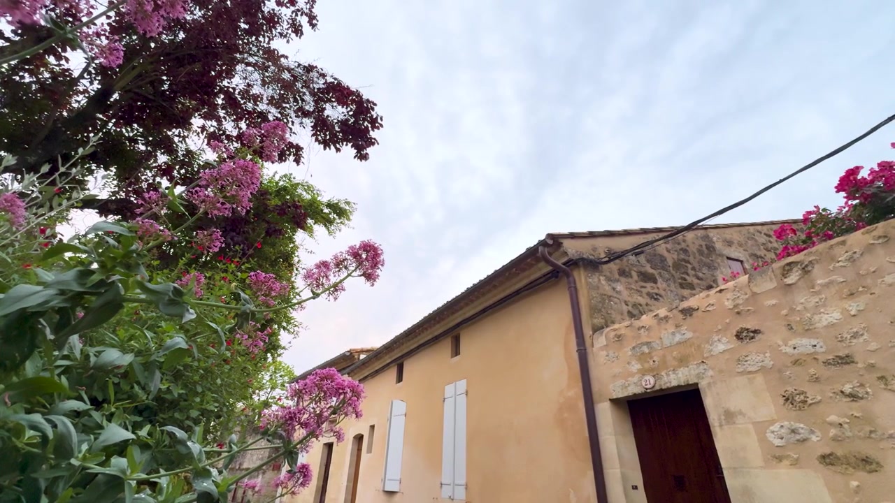 Inquadratura dal basso dell'architettura tradizionale di un villaggio francese con fiori rosa sbocciati e persiane bianche.
