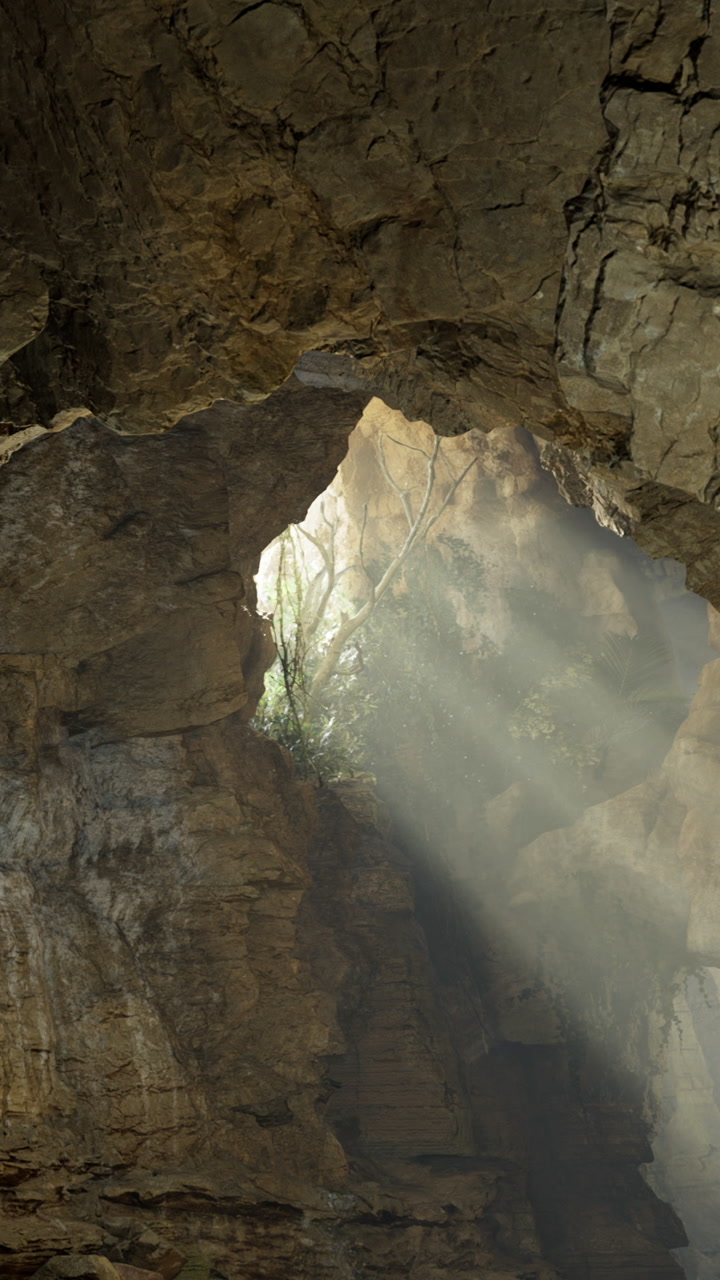 Sunlight shines through opening in cave showing rocks and plants inside