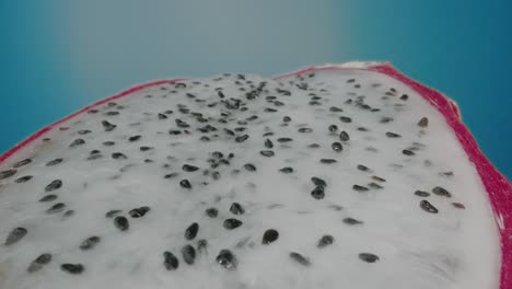 zoom hacia fuera sobre una rodaja de fruta de dragón en fondo azul
