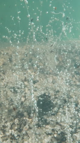 Gentle invisible weeds covered with air bubbles grow on rocky river bottom against azure background. Aquatic scene with rising seashell gas and flora