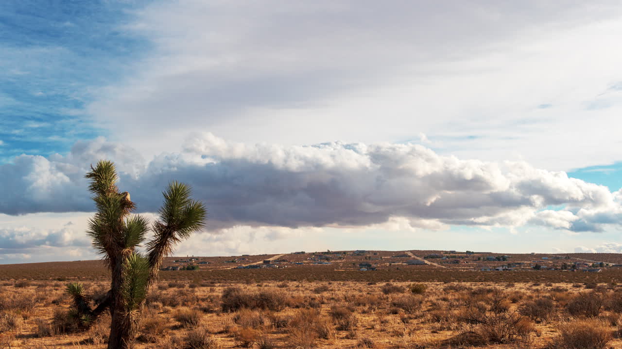 grandes cúmulos ondean y cambian de forma sobre un tee de joshua en el desierto de mojave - lapso de tiempo