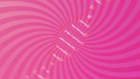 Animation-of-dna-structure-spinning-against-pink-radial-background