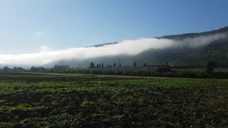 Panoramic-view-of-a-early-wheat-field-with-fog-covered-mountains-in-the-background