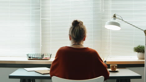 Back-View-of-Businesswoman-Working-at-Office-Desk