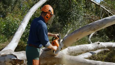 Lumberjack-cutting-tree-branch-with-chainsaw-4k