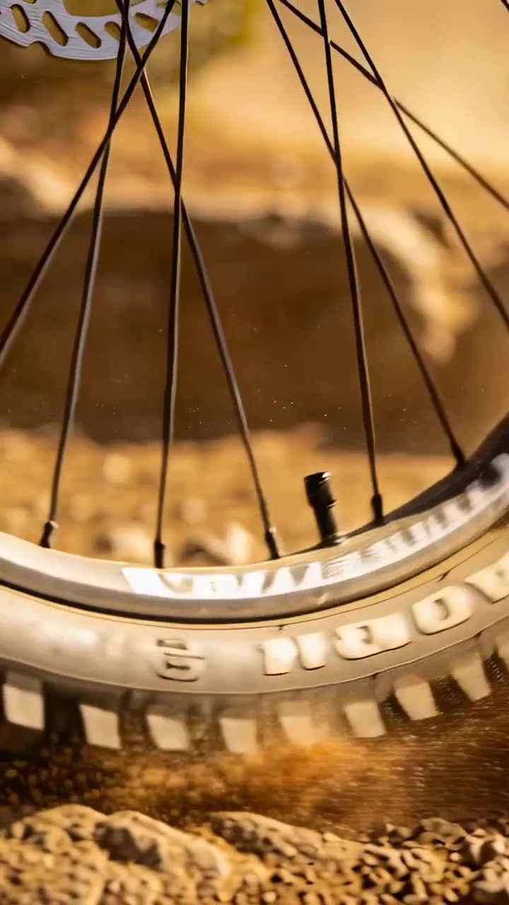 Video verticale: Colpendo una roccia, una ruota di bicicletta rotola su un sentiero asciutto, la bici si muove sollevando polvere, raggi.