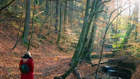 beautful young girl in red coat walking away from camera amidst the orange brown autumn forest woodlands filled by bright warm sunlight