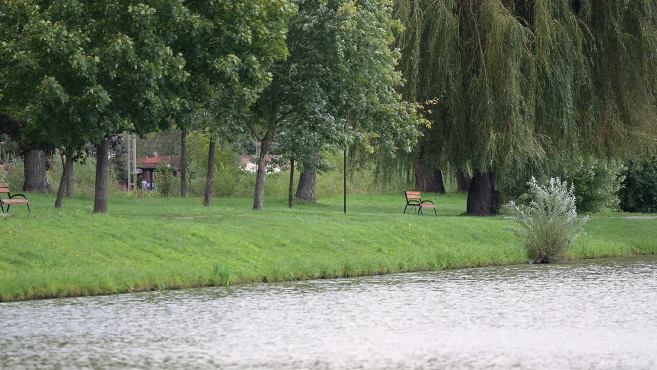 Park benches by a calm lakeside under green trees