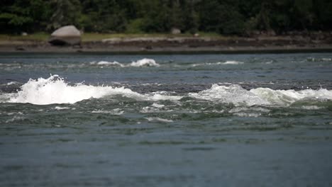 Standing-wave-rapids-in-slow-motion-with-white-wash-from-reversing-falls,-Maine