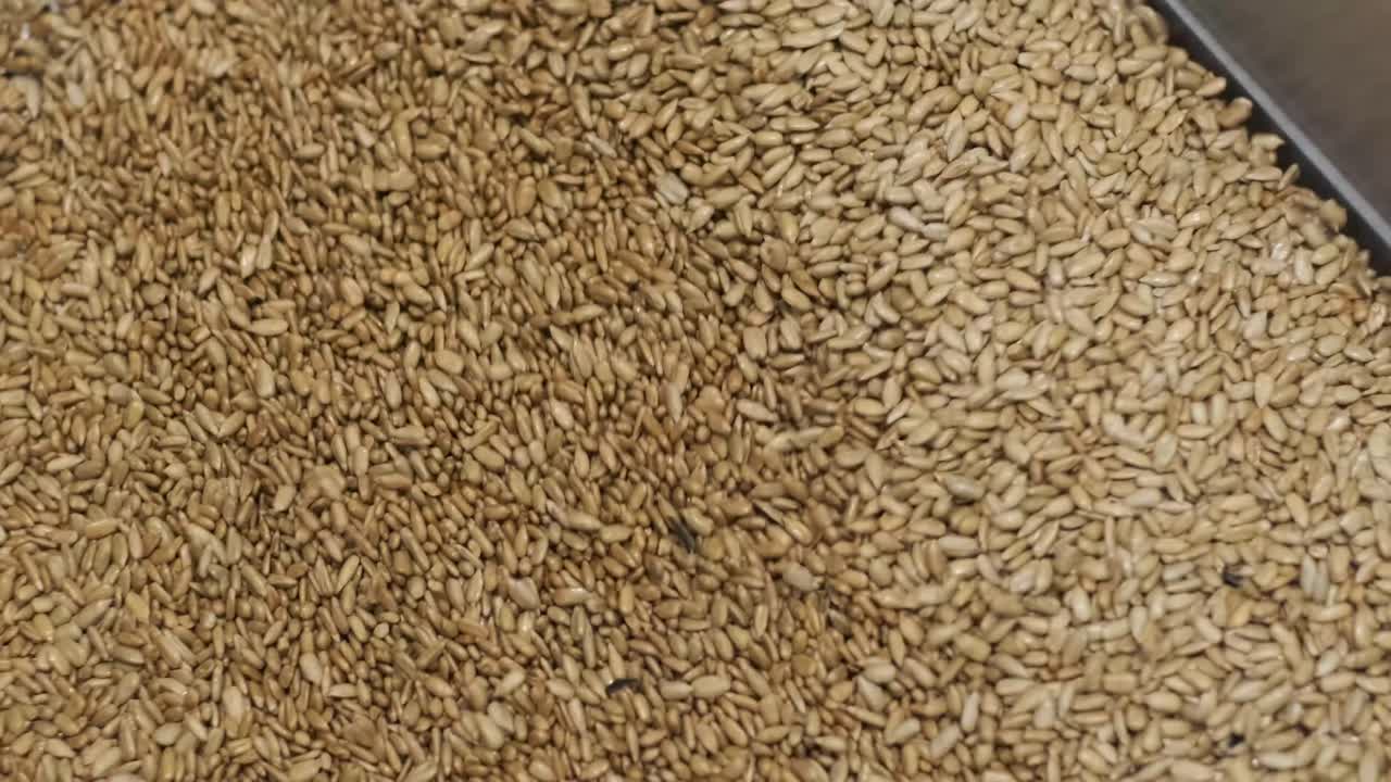 많은 씨, 태양광 씨, 베이킹 기계, 움직이는 긴 태양광씨, 기계에서 나온 음식 생산.