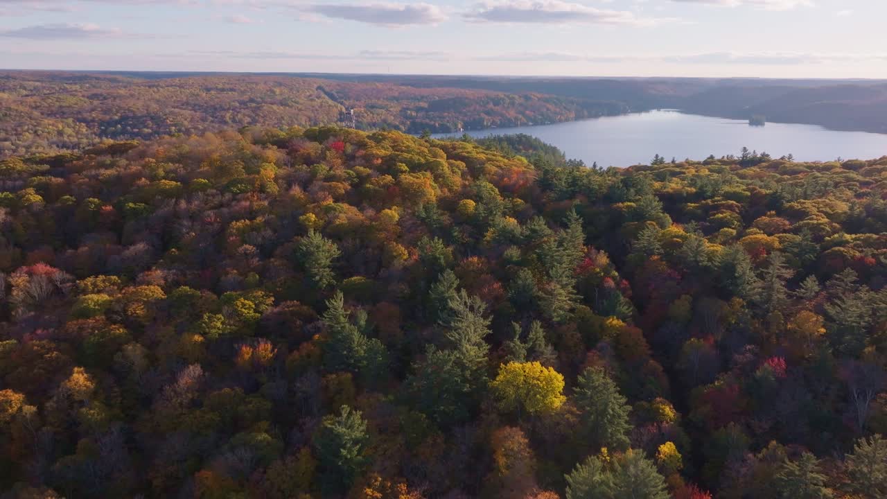 Fall foliage with a lake in the distance from dorset lookout tower in ontario, aerial view