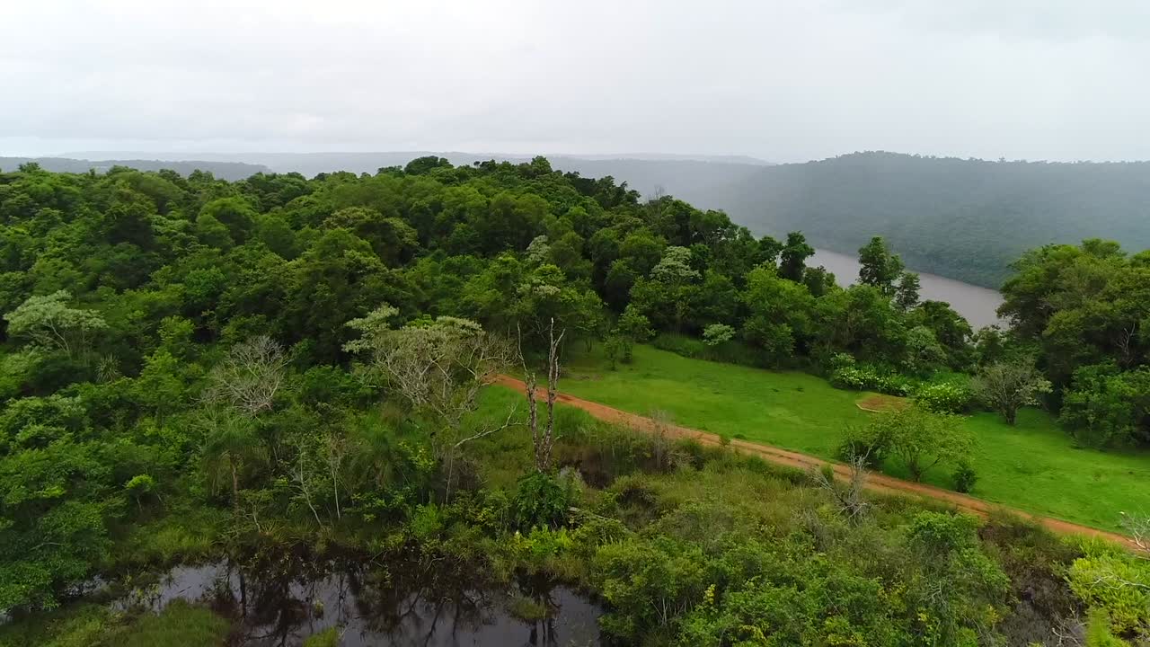 paisaje vista aérea de colorido bosque verde y gran río en la selva, argentina