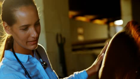 veterinarian doctor checking a horse 4k