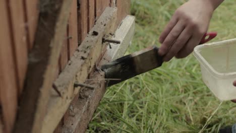 propietario pintando la puerta de un cobertizo de madera