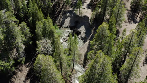 Deadman-creek,-california,-surrounded-by-dense-forest,-sunny-day,-aerial-view