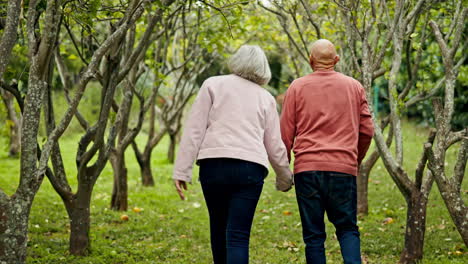 caminar, tomados de la mano y una pareja de ancianos en los árboles