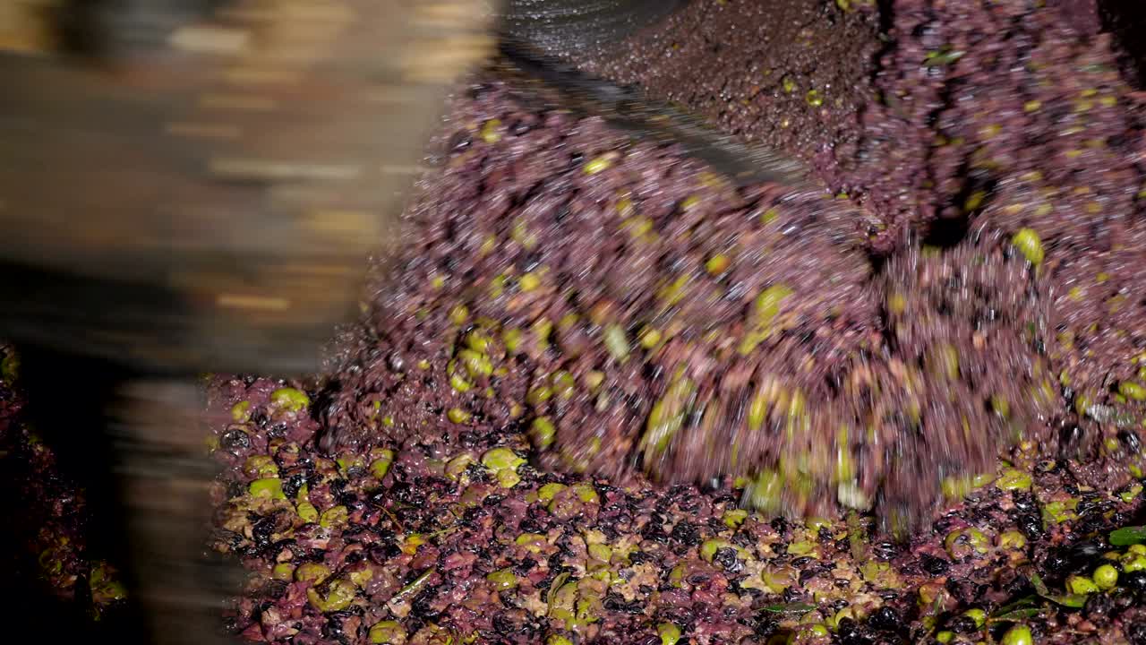 신선한 올리브를 압축하는 올리브 오일