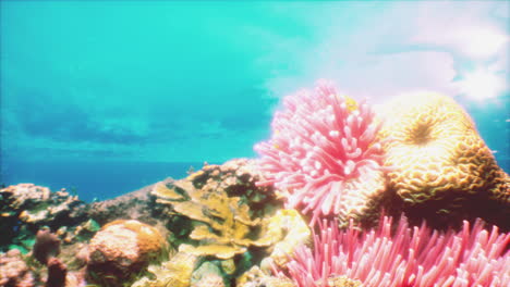 vibrant underwater coral reef scene