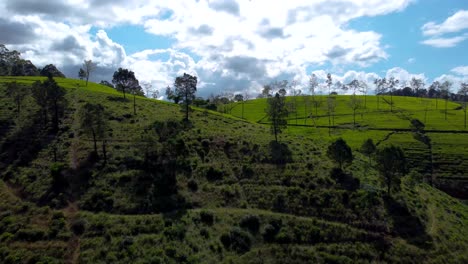 Aerial-view-flying-over-Nuwara-Eliya-tea-plantation,-Sri-Lanka