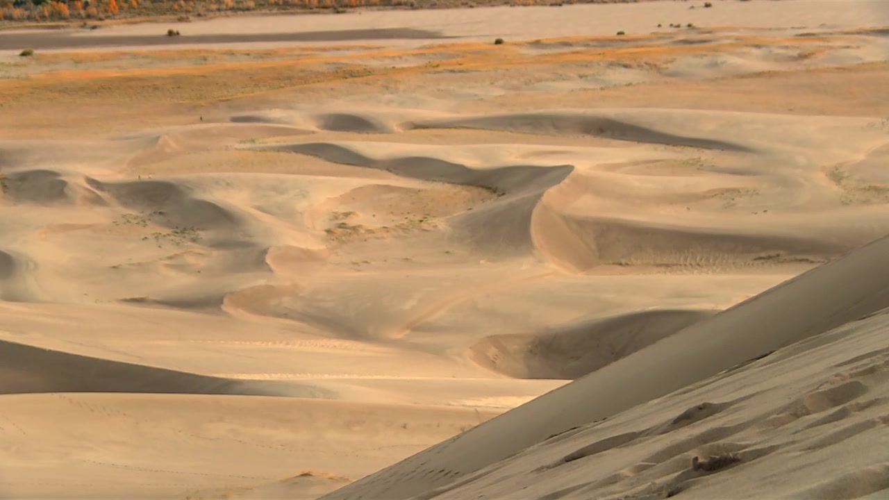 Ampia vista di dune di sabbia desertiche con creste modellate dal vento nel Parco Nazionale delle Grandi Dune di Sabbia. Inquadratura statica