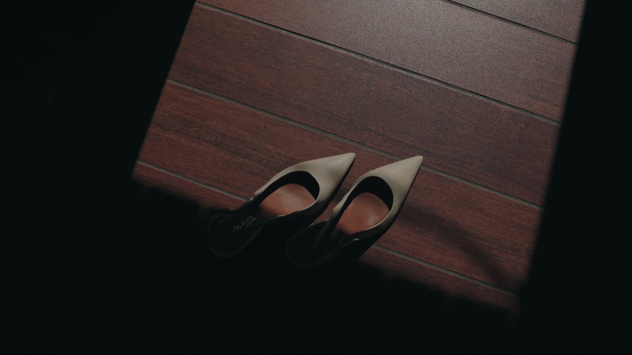 Pair of pointed toe high heels placed on dark wood floor