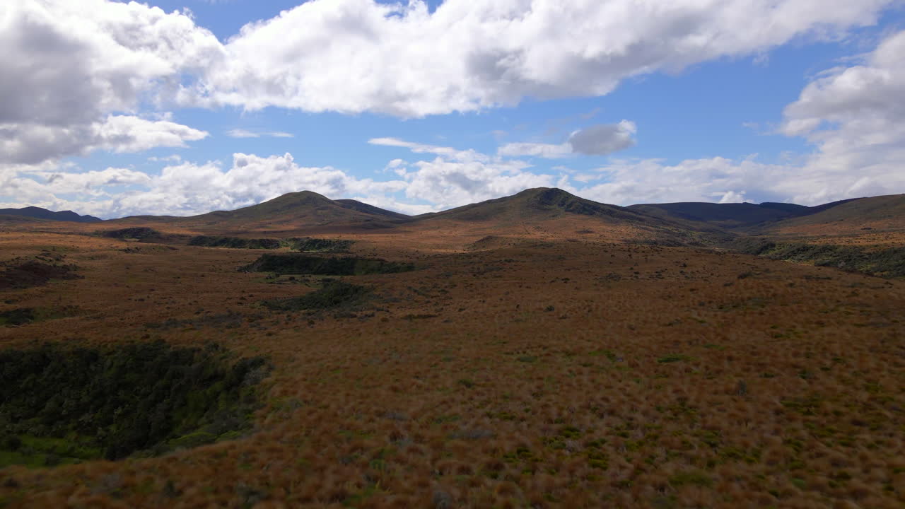 paisaje salvaje cubierto de arbustos marrones en la región sur de nueva zelanda