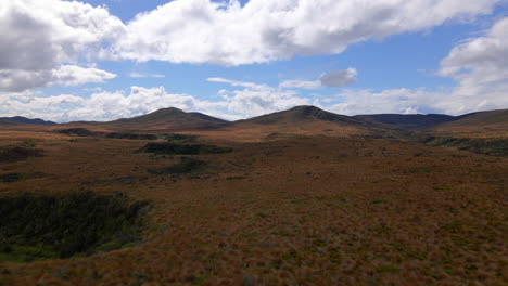 Wild-landscape-covered-in-brown-shrubs-in-Southland-region-of-New-Zealand