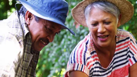 Senior-couple-planting-plants