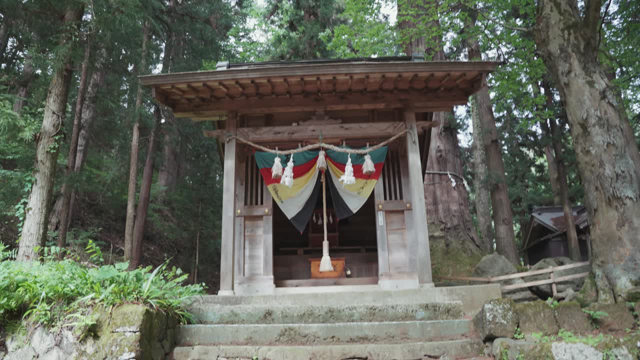 Tranquil video captures serene experience of walking through a lush forest towards sacred Kawaguchi Asama Shrine, immersing viewers in nature and Japanese spiritual heritage during the daytime.
