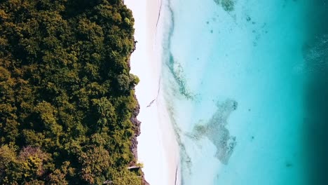 Espectacular-Vuelo-Aéreo-A-Vista-De-Pájaro-Top-Drone-Shot