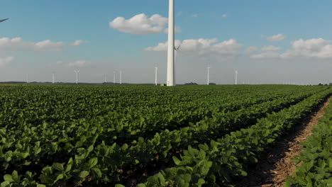 Drone-flying-low-along-green-rows-of-soybeans-towards-a-wind-generator-farm-in-Iowa