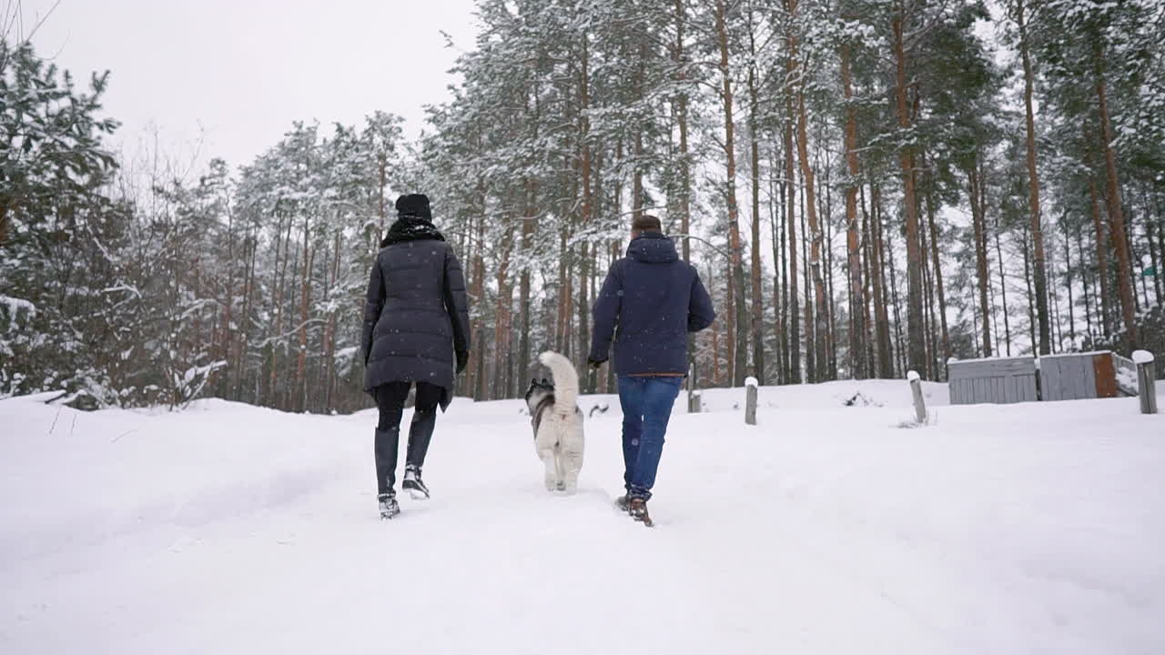 숲속을 산책하는 사람들. 한 남자와 시베리안 허스키 개가 숲 속의 눈 속에서 아이와 함께 썰매를 끌고 있습니다. 여자가 숲속을 걷고 있다