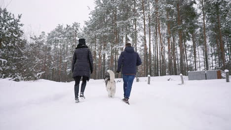 people on a walk in the forest. a man and a siberian husky dog are pulling a sleigh with a child in the snow in the forest. a woman is walking in the forest