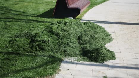 pile of grass clippings in a park