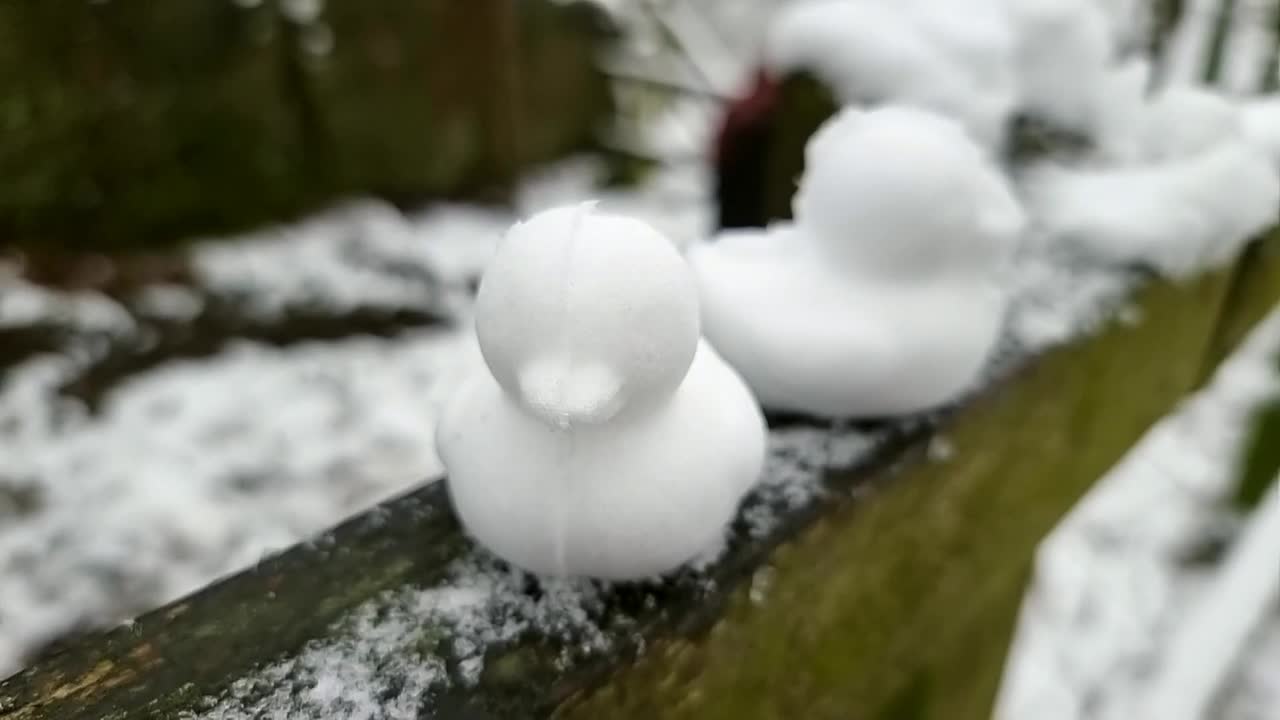 겨울 숲 나무 문에 줄지어 앉아 있는 모양의 눈 오리 장식품의 컬렉션