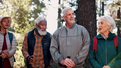 senior friends hiking in the forest