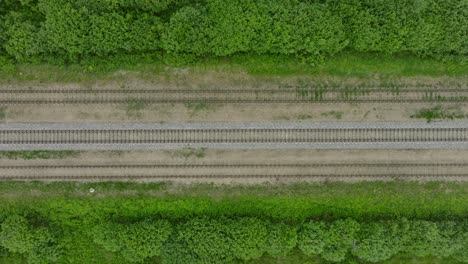 vista aérea a vista de pájaro de vías de tren de ferrocarril vacías, paisaje rural, bosque verde fresco en el lado, día de verano nublado y nublado, amplia toma de carretilla de avión no tripulado moviéndose a la izquierda