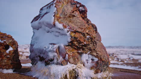 gimbal shot of petrified wood in the petrified forest