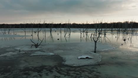 leafless tree woods in icy water at dusk. tidal flats of notsuke peninsula during winter in hokkaido, japan. orbiting drone shot