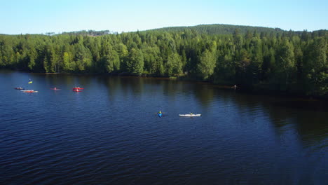 group of people in kayaks paddling on a river in the sun