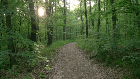 Wandern-Auf-Einem-Waldweg-In-Zeitlupe-Vor-Sonnenuntergang