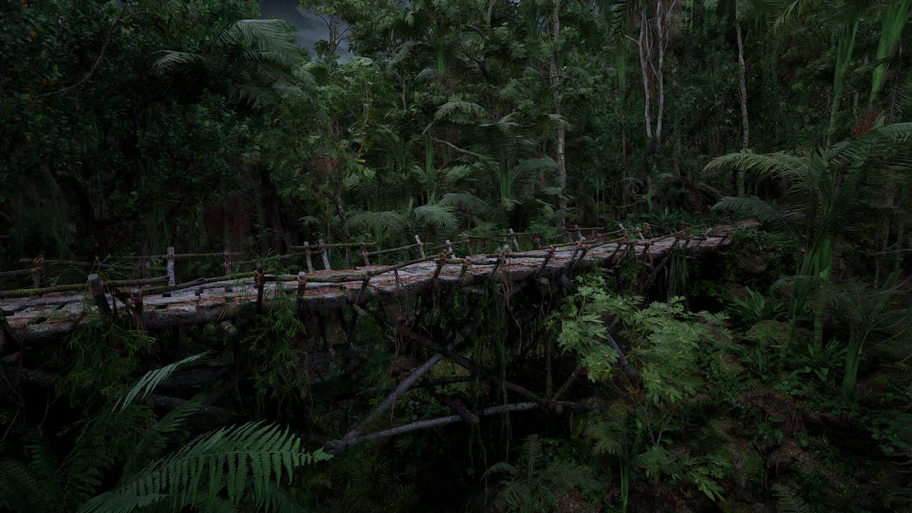 Exploring a remote wooden bridge in the lush peruvian rainforest