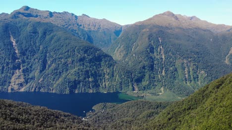 small port in doubtful sound