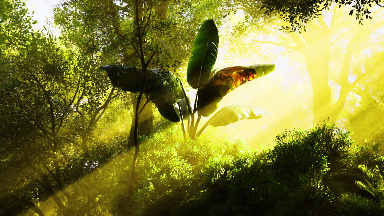 Sunlight filters through dense forest canopy highlighting vibrant leaves