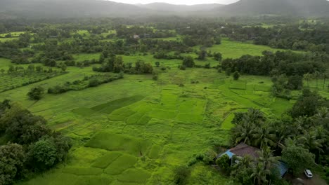 small village in a forest top to bottom drone hyper-lapse bird eye view