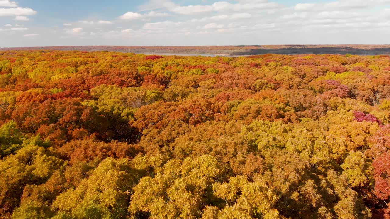 un dron aéreo de 4.000 horizontes vuela sobre copas de árboles muy coloridas en un bosque bajo un cielo azul y nubes blancas mientras el sol brilla en sus hojas rojas, verdes, amarillas y naranjas en otoño