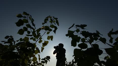 silhouetted photographer taking pictures in rural landscape, high contrast