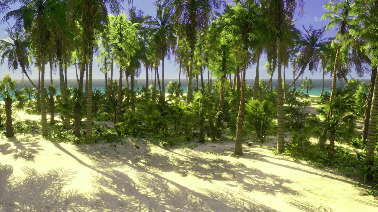 Tropical beach with palm trees and clear blue skies near the ocean